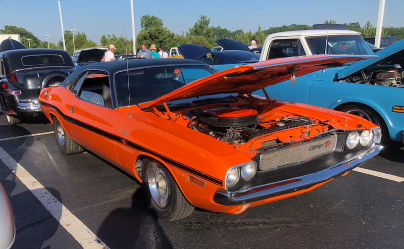 Illustration for article titled Small cruise night photo dump